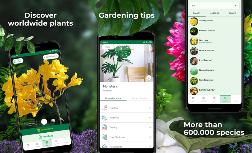 plant identification software free download